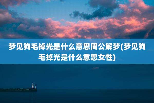 梦见狗毛掉光是什么意思周公解梦(梦见狗毛掉光是什么意思女性)