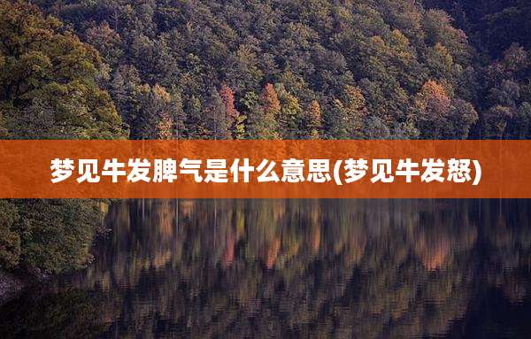 梦见牛发脾气是什么意思(梦见牛发怒)