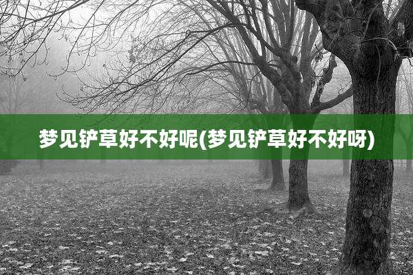 梦见铲草好不好呢(梦见铲草好不好呀)