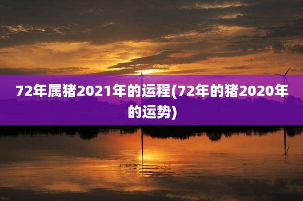 72年属猪2021年的运程(72年的猪2020年的运势)
