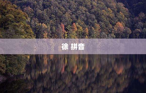 徐 拼音