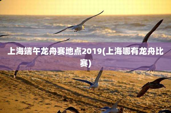 上海端午龙舟赛地点2019(上海哪有龙舟比赛)