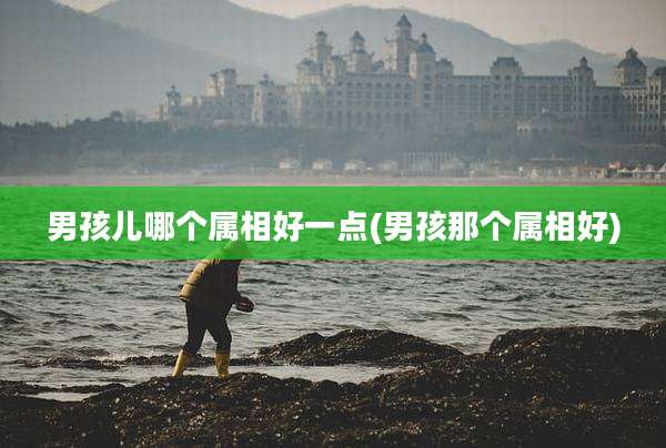 男孩儿哪个属相好一点(男孩那个属相好)