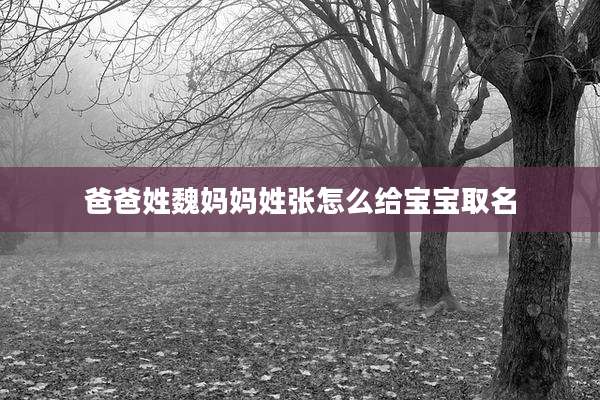 爸爸姓魏妈妈姓张怎么给宝宝取名