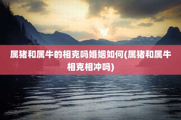 属猪和属牛的相克吗婚姻如何(属猪和属牛相克相冲吗)