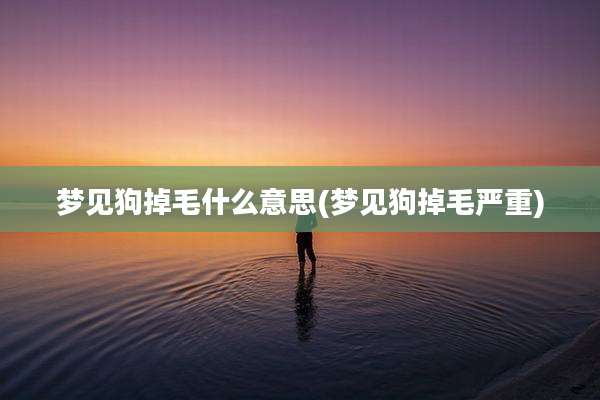 梦见狗掉毛什么意思(梦见狗掉毛严重)