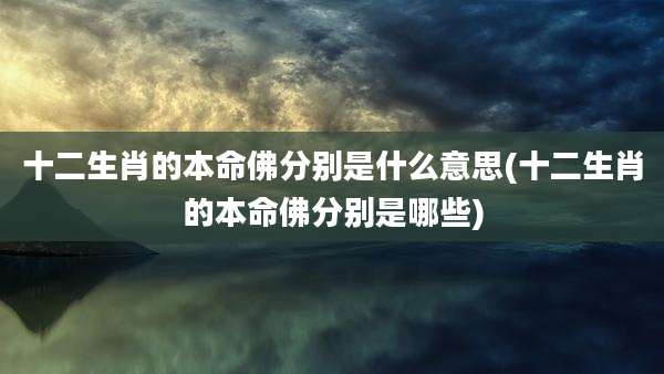 十二生肖的本命佛分别是什么意思(十二生肖的本命佛分别是哪些)