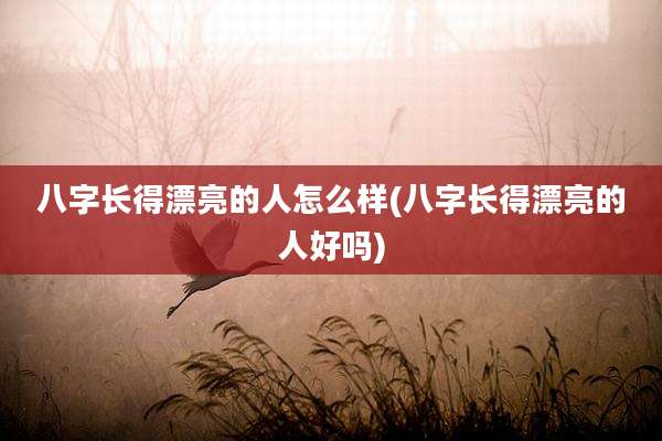 八字长得漂亮的人怎么样(八字长得漂亮的人好吗)