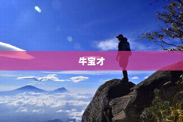 牛宝才