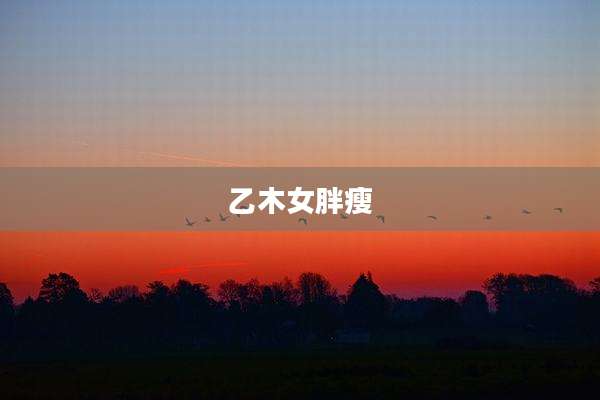 乙木女胖瘦