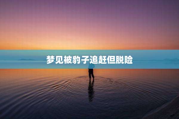 梦见被豹子追赶但脱险
