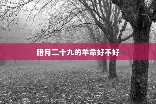 腊月二十九的羊命好不好