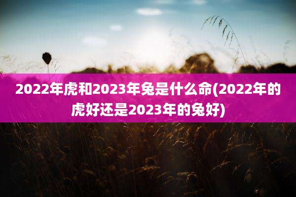 2022年虎和2023年兔是什么命(2022年的虎好还是2023年的兔好)