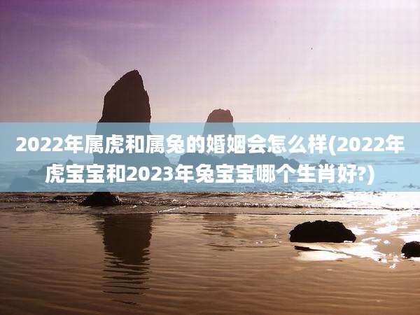 2022年属虎和属兔的婚姻会怎么样(2022年虎宝宝和2023年兔宝宝哪个生肖好?)