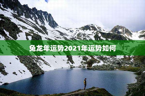 兔龙年运势2021年运势如何
