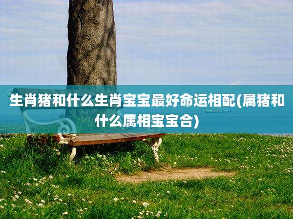 生肖猪和什么生肖宝宝最好命运相配(属猪和什么属相宝宝合)