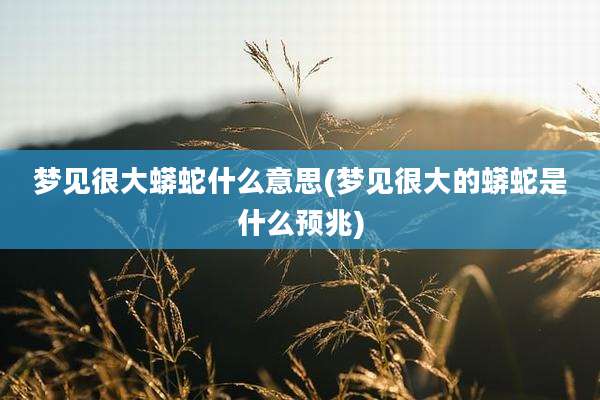 梦见很大蟒蛇什么意思(梦见很大的蟒蛇是什么预兆)
