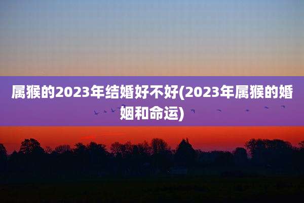 属猴的2023年结婚好不好(2023年属猴的婚姻和命运)