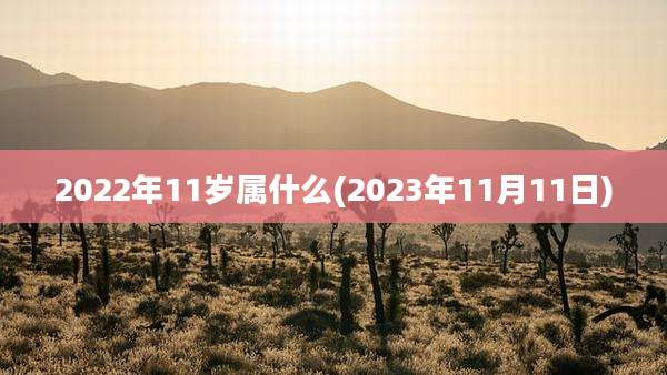 2022年11岁属什么(2023年11月11日)