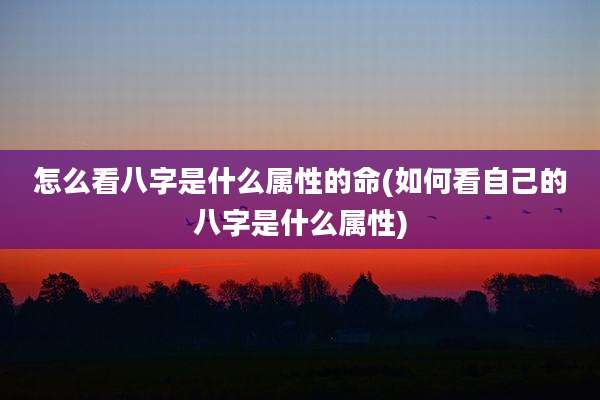 怎么看八字是什么属性的命(如何看自己的八字是什么属性)