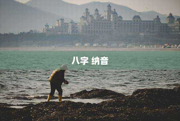 八字 纳音