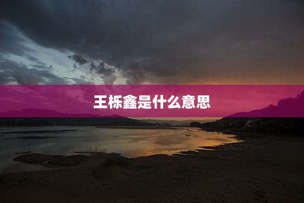 王栎鑫是什么意思