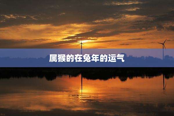 属猴的在兔年的运气