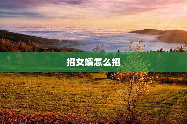 招女婿怎么招