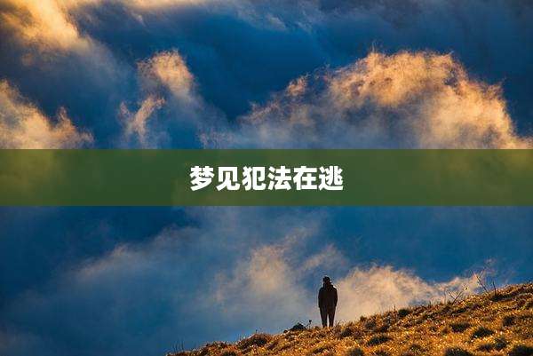 梦见犯法在逃