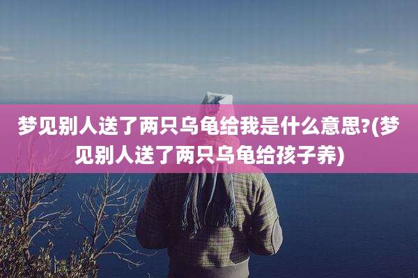 梦见别人送了两只乌龟给我是什么意思?(梦见别人送了两只乌龟给孩子养)