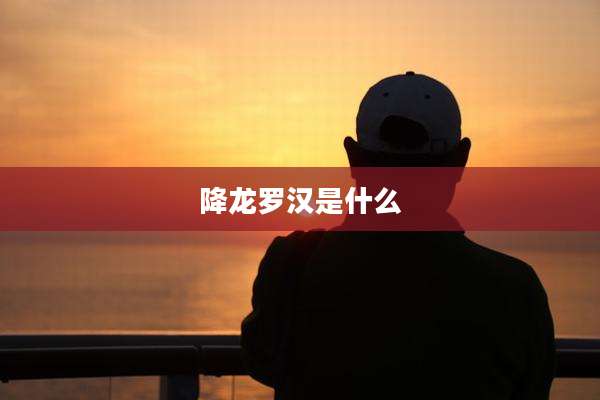 降龙罗汉是什么