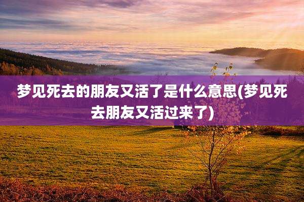梦见死去的朋友又活了是什么意思(梦见死去朋友又活过来了)