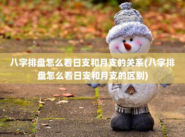 八字排盘怎么看日支和月支的关系(八字排盘怎么看日支和月支的区别)