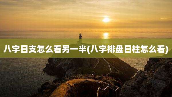 八字日支怎么看另一半(八字排盘日柱怎么看)