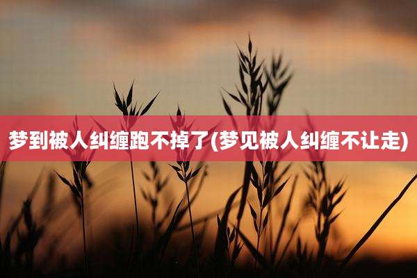 梦到被人纠缠跑不掉了(梦见被人纠缠不让走)