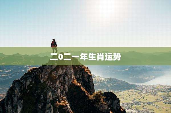 二0二一年生肖运势