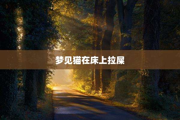 梦见猫在床上拉屎