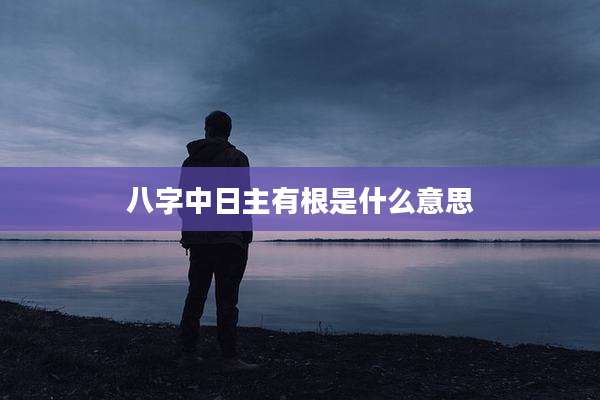 八字中日主有根是什么意思