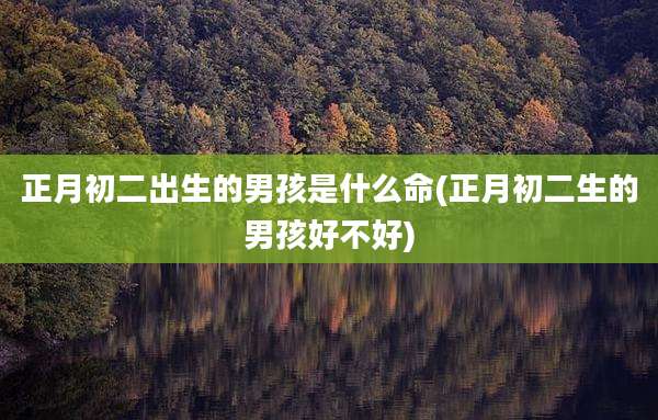 正月初二出生的男孩是什么命(正月初二生的男孩好不好)