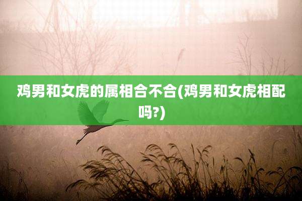 鸡男和女虎的属相合不合(鸡男和女虎相配吗?)