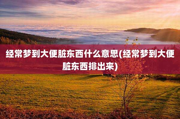 经常梦到大便脏东西什么意思(经常梦到大便脏东西排出来)