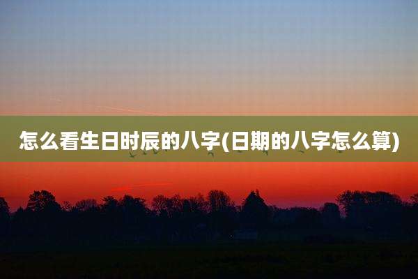 怎么看生日时辰的八字(日期的八字怎么算)