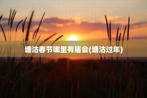 塘沽春节哪里有庙会(塘沽过年)