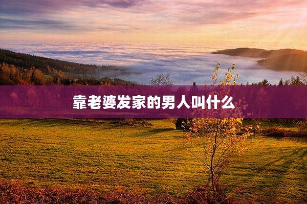 靠老婆发家的男人叫什么
