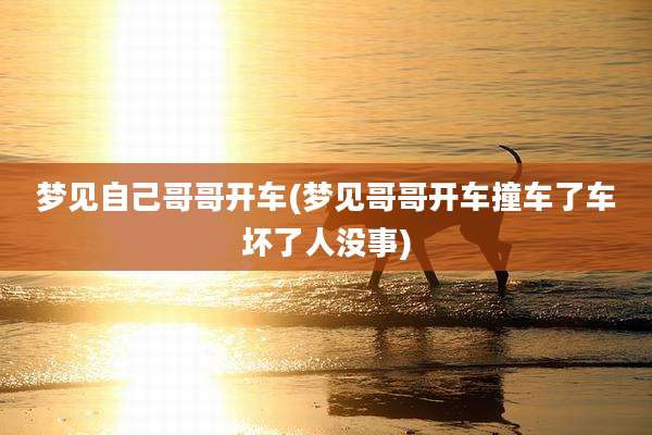 梦见自己哥哥开车(梦见哥哥开车撞车了车坏了人没事)