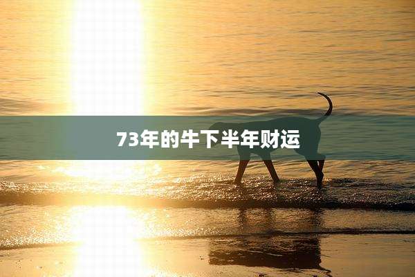 73年的牛下半年财运