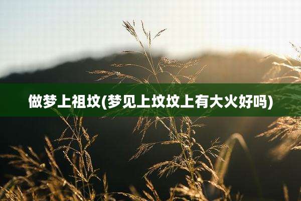 做梦上祖坟(梦见上坟坟上有大火好吗)
