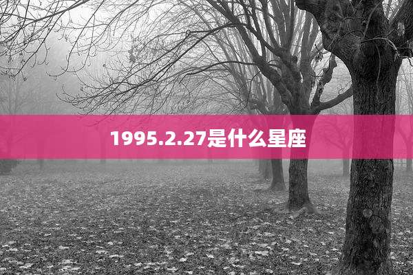 1995.2.27是什么星座