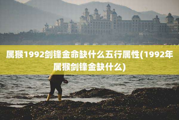 属猴1992剑锋金命缺什么五行属性(1992年属猴剑锋金缺什么)