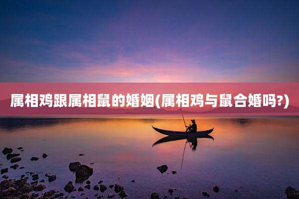 属相鸡跟属相鼠的婚姻(属相鸡与鼠合婚吗?)